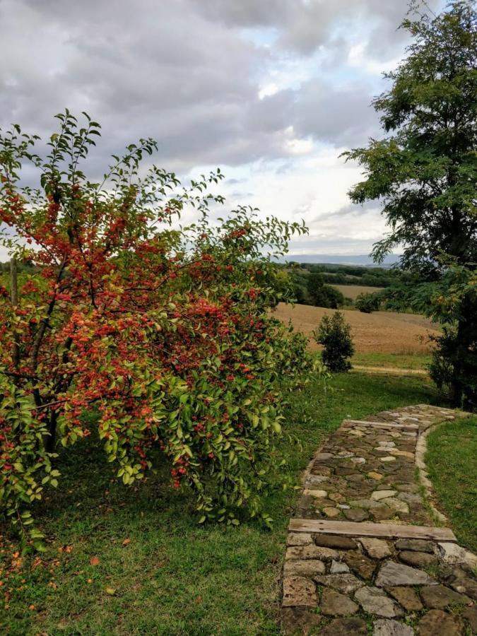 La Casa Di Arianna Bed & Breakfast Casole dʼElsa Dış mekan fotoğraf